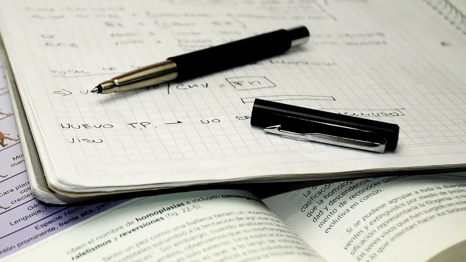 academia ourense refuerzo acceso universidad adultos